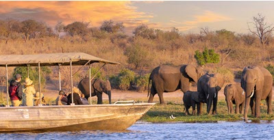 Adventure Safaris