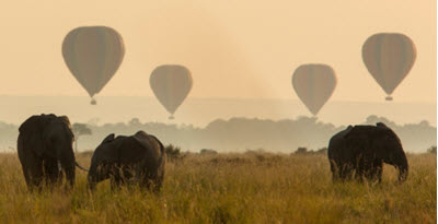 Custom and Private Safaris