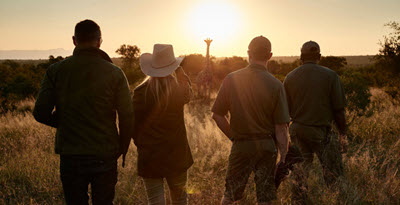 Small Group Safaris