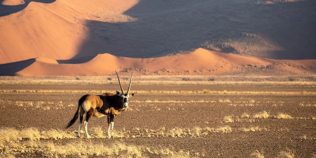 Namibia