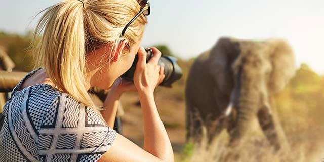 Photo Safaris